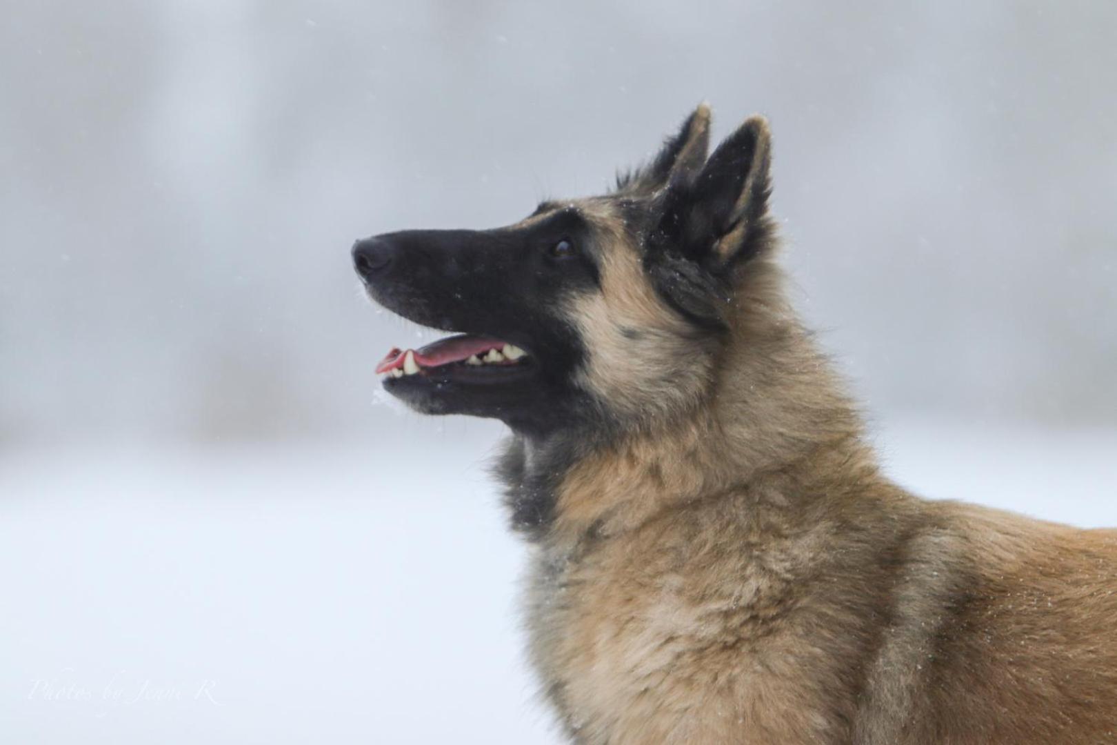 Maatilamatkailu Ilomaeki Seinäjoki Dış mekan fotoğraf