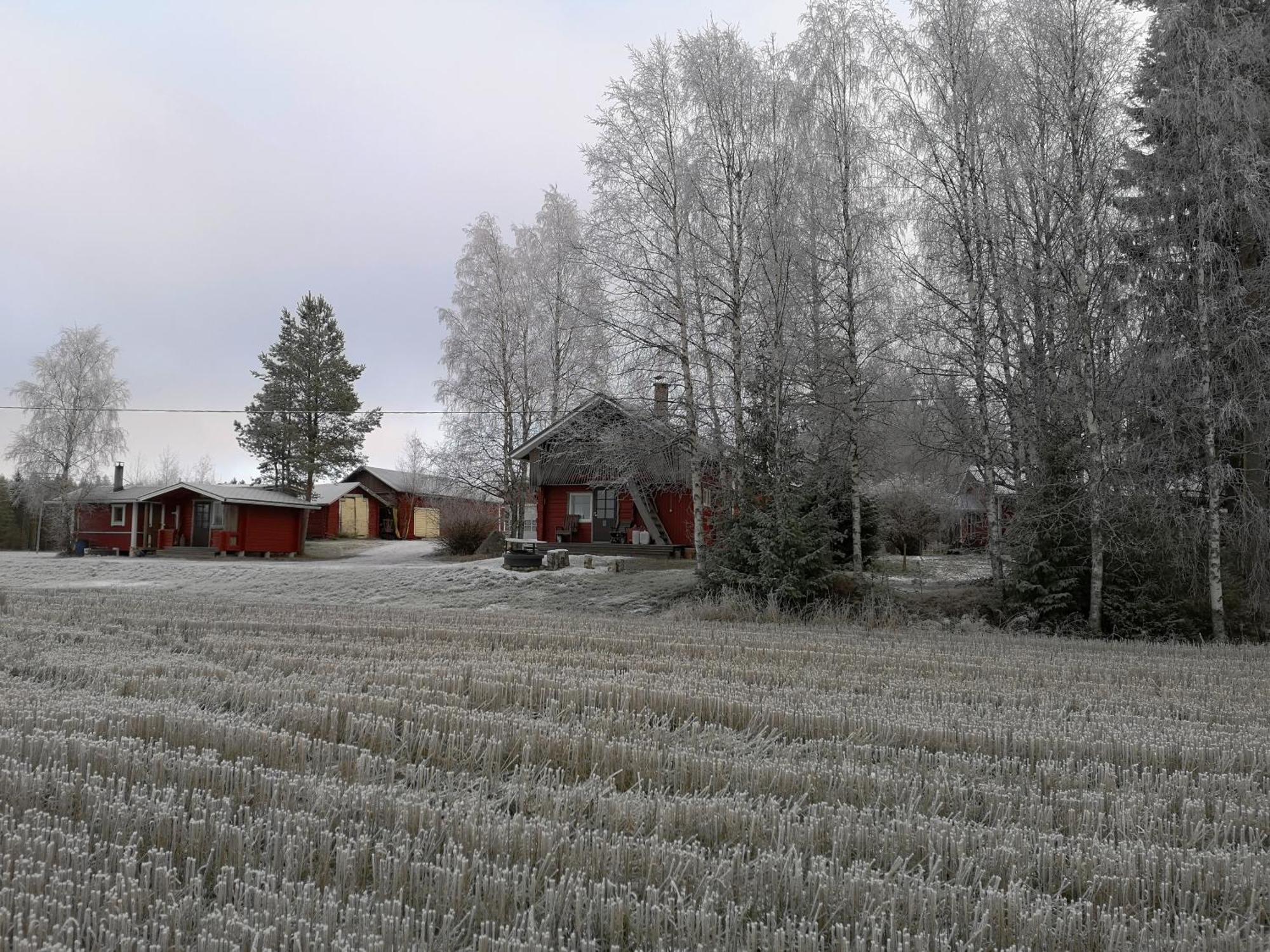 Maatilamatkailu Ilomaeki Seinäjoki Oda fotoğraf