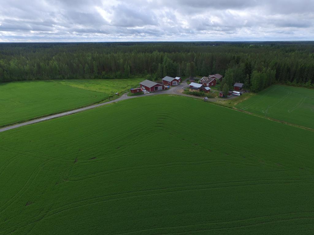 Maatilamatkailu Ilomaeki Seinäjoki Dış mekan fotoğraf