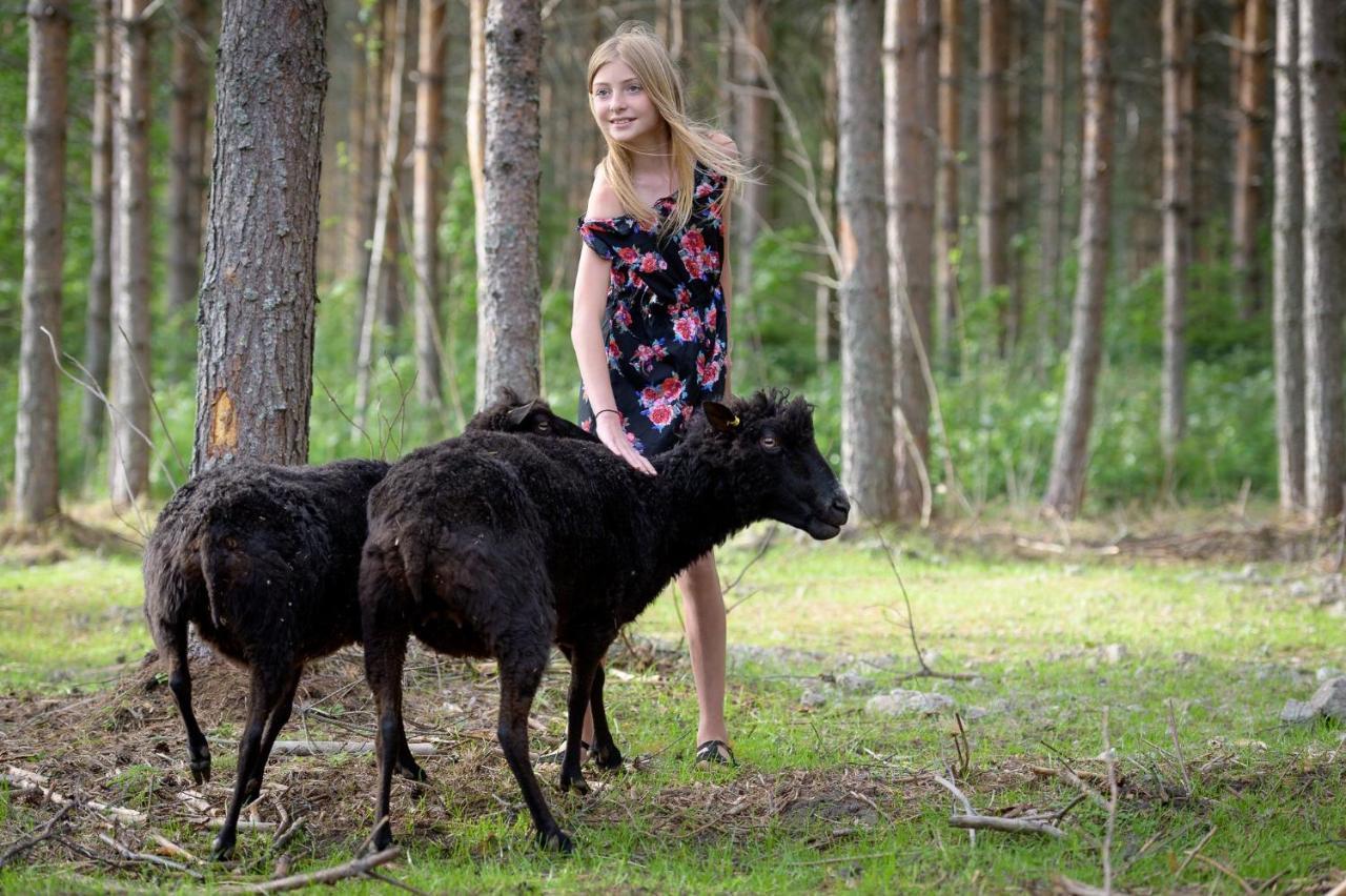 Maatilamatkailu Ilomaeki Seinäjoki Dış mekan fotoğraf